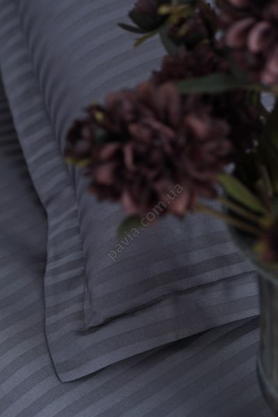 Комплект постільної білизни СІМЕЙНИЙ PAVIA LINEA ANTRASIT темно-сірий 402391 фото
